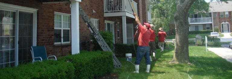 Press ‘pause’ before you budget out a costly siding replacement project! Clean County offers residential house washing services that bring a ‘like new’ effect to your property… Without the time and investment that comes with a brand new exterior. House Washing: Why It Matters The quality of your home is constantly up against a legion of issues: Dirt, grime, dust, airborne pollutants, mold, and mildew compromise curb appeal and harm the condition of your siding. Our climate doesn’t help. The northeast’s weather creates an ideal habitat for spore-bearing bacteria, which results in those dark stains you see on siding. These streaks diminish curb appeal, but they can also cause your exterior to deteriorate. It’s important to take action against a dirty exterior – but pressure washing is not the solution. This method uses force to “clean” away any buildup on your exterior. And in the process, it can crack siding, cause water damage around your windows, and destroy landscaping. Clean County offers a safer, more effective alternative. Or soft wash system gently washes away years of unsightly buildup to reveal a clean, fresh, “like new” home exterior.